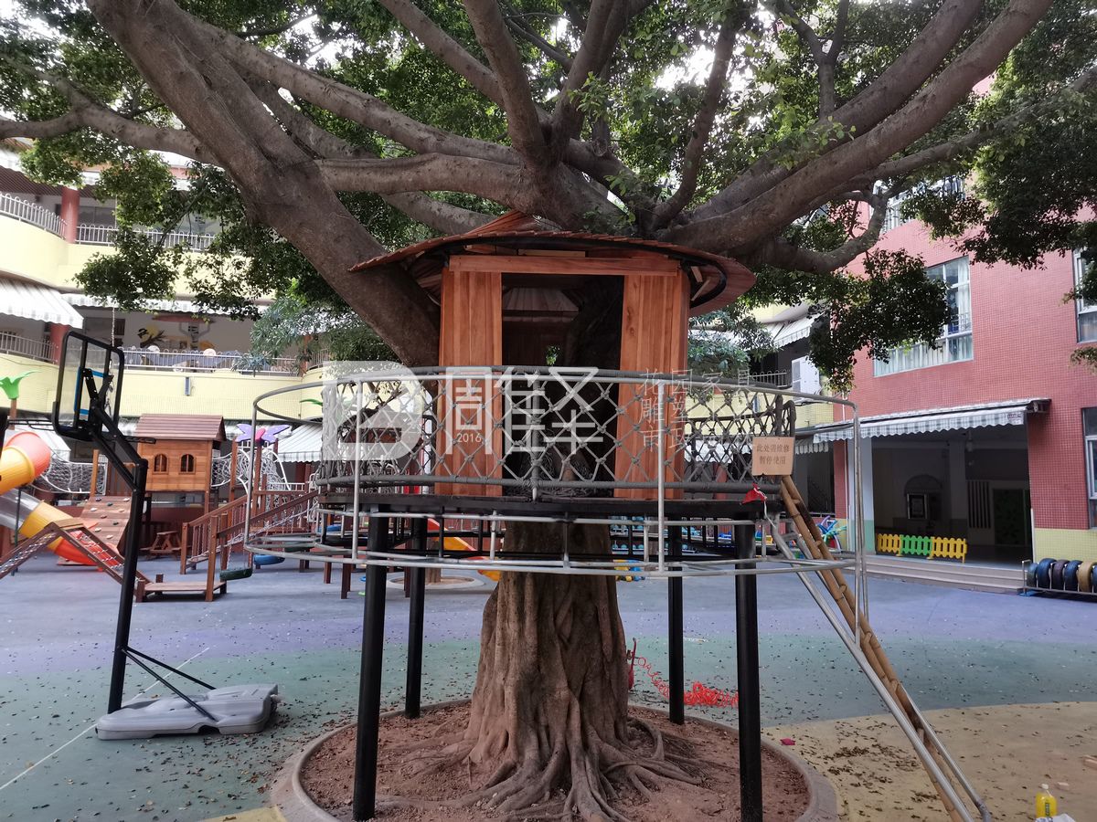广州黄埔育蕾幼儿园树屋现场制作搭建钢木结构(图3)